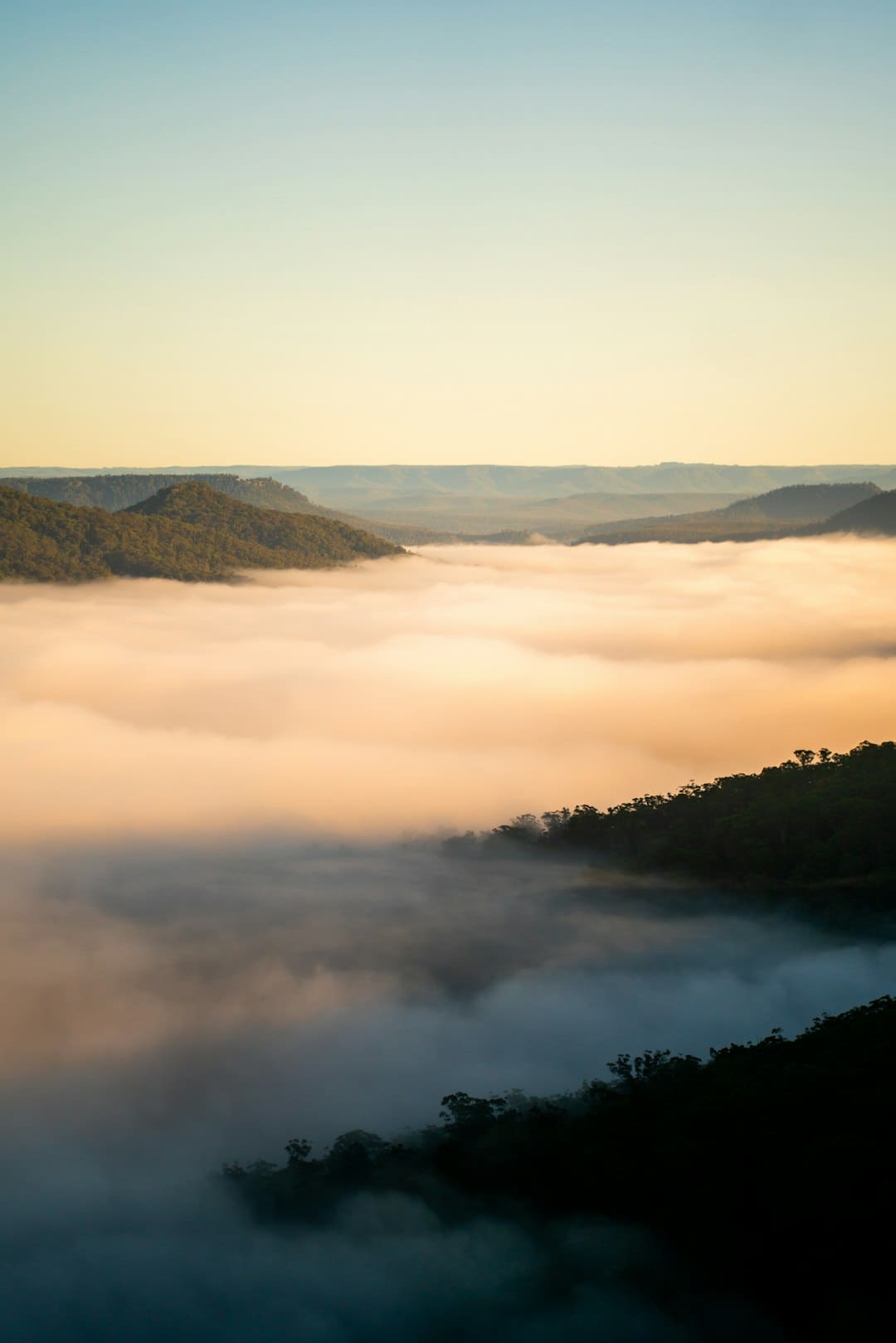 https://p2.img.cctvpic.com/photoworkspace/contentimg/2025/05/06/2025050609164067304.png